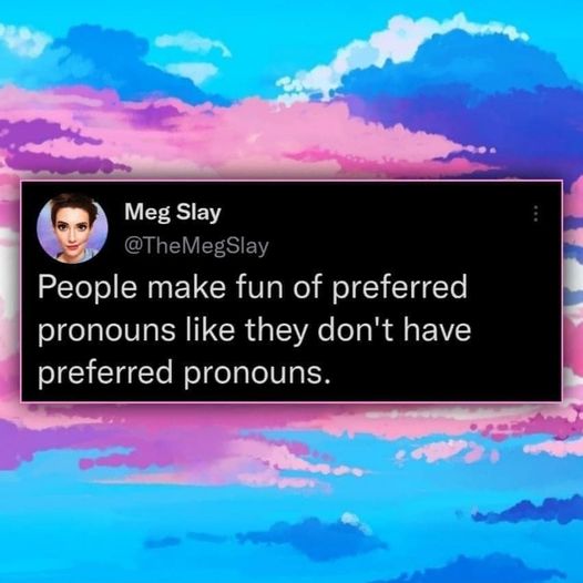This meme is a humorous take on the controversy surrounding the use of preferred pronouns. The image shows a tweet with the text "People make fun of preferred pronouns like they don't have preferred pronouns." The tweet is likely referring to the fact that some people are mocked or criticized for their preference for specific pronouns, when in reality, many people have preferred pronouns and expect to be respected by others using those pronouns.