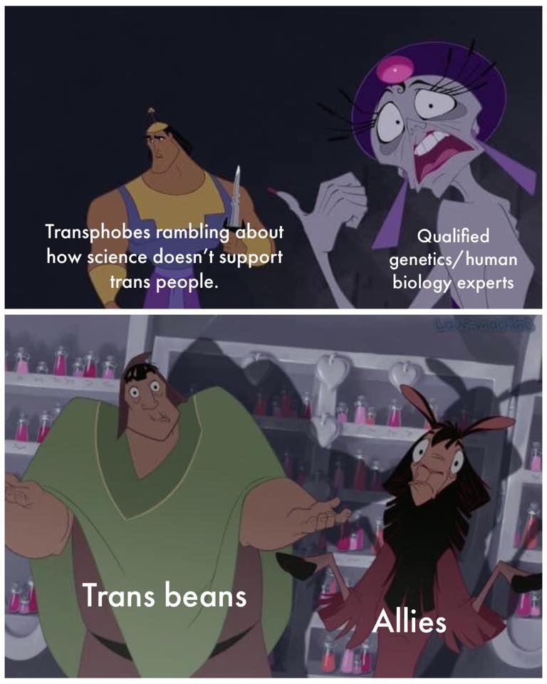 This meme is a humorous commentary on the relationship between trans people and scientists. The top panel shows two characters from the Disney movie "The Emperor's New Groove", one of whom is a scientist who is explaining the science behind a trans person's identity. The bottom panel shows the same characters, but with the scientist's explanation replaced with a list of "transphobic" stereotypes and insults. The text on the image reads: "Transphobes: 'I'm just asking questions about how science doesn't support trans people'".