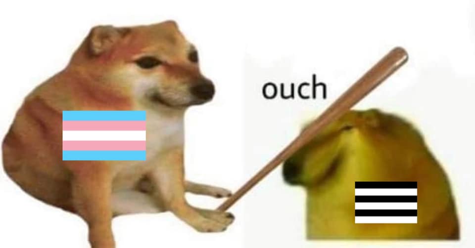 The meme features a picture of a dog sitting on its hind legs, with a caption "I can explain it". The image is overlaid with a trans flag, which is a symbol of the transgender community. The text "I can explain it" is...