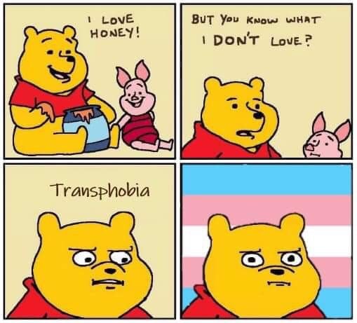 The meme is a four-panel comic featuring Winnie the Pooh and Piglet from the classic children's book series. The first panel shows Pooh holding a jar of honey and saying "I love honey!" The second panel shows Piglet looking at Pooh with a concerned expression, saying "But you know what I don't love?" The third panel shows Pooh looking confused, and the fourth panel shows him with a trans flag behind him, implying he's transphobic.