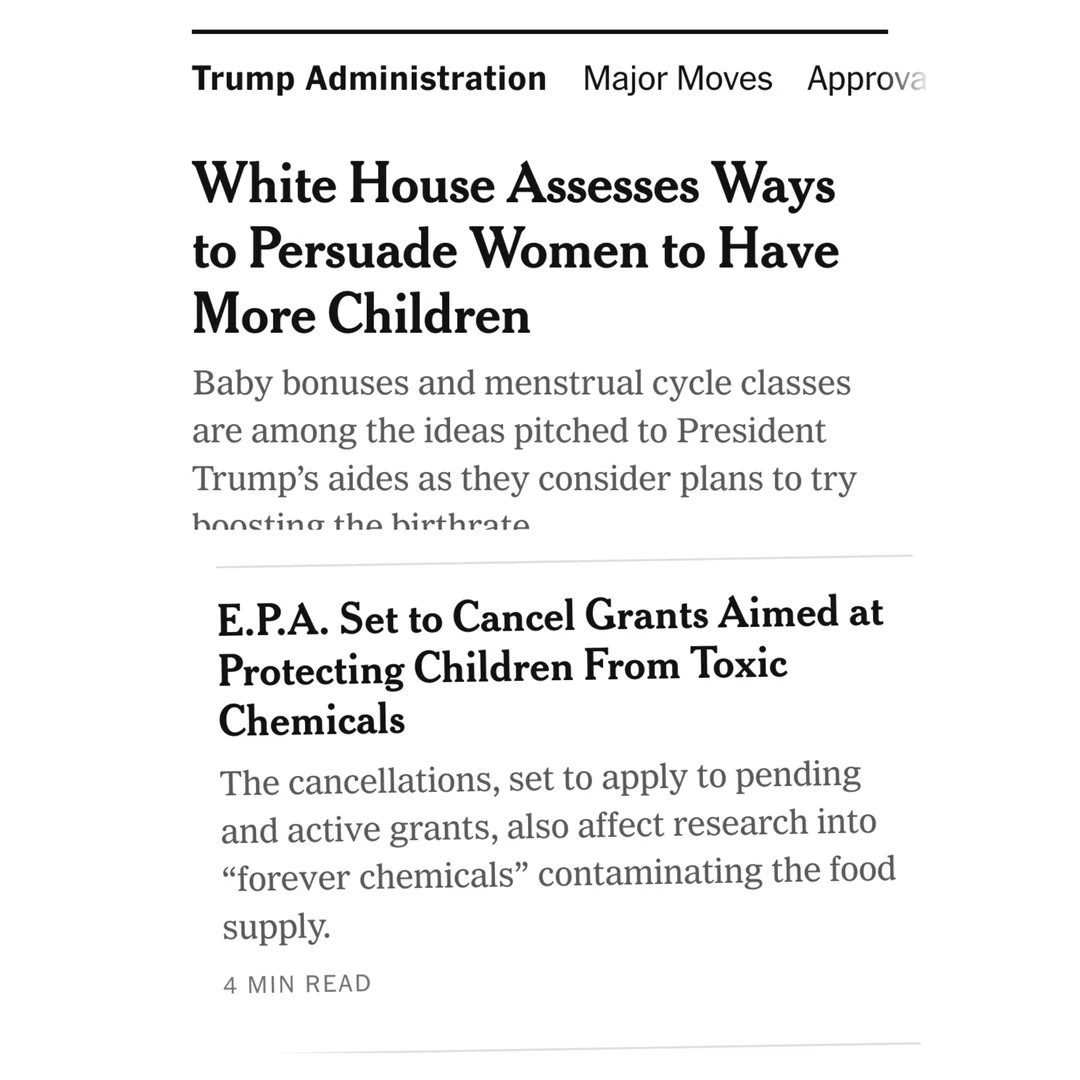 The meme is a screenshot of a news article with a title "White House Assesses Ways to Persuade Women to Have More Children". The article discusses the White House's plans to offer financial incentives to women to have...