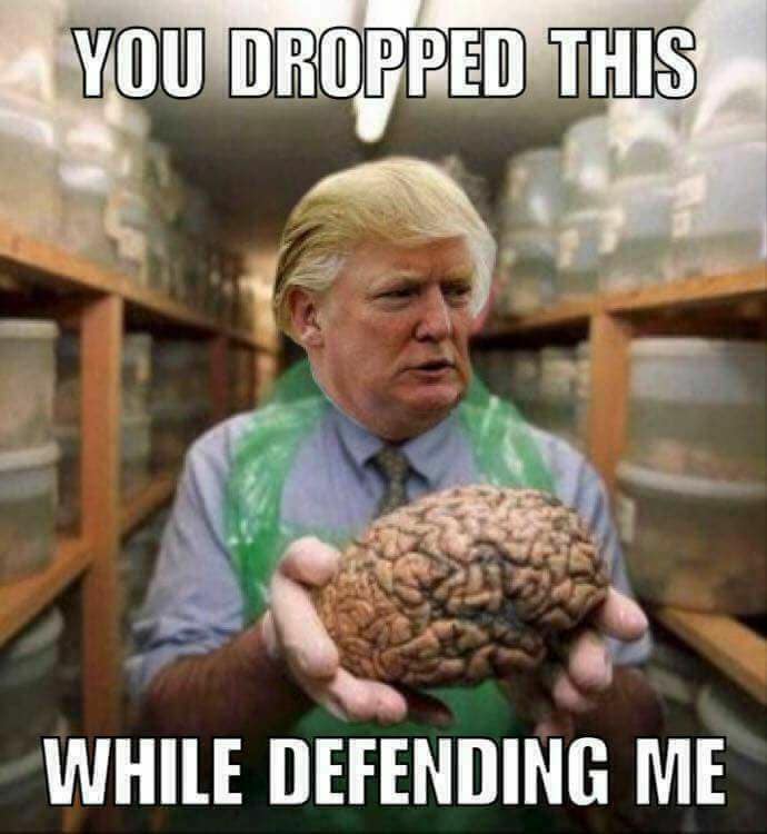 This meme features a photo of Donald Trump holding a brain, with a caption that reads "You dropped it, but you're still responsible for it while defending me." The image is a play on the phrase "you dropped it, but you're still responsible for it," which is often used to imply that someone is still accountable for their actions, even if they were not directly responsible for them. In this case, the meme is likely referencing a controversy or scandal involving Trump, and the image is meant to be humorous and satirical.