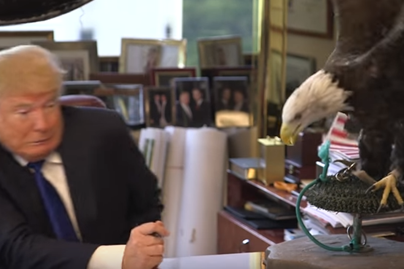 This meme is a satirical image of a scene from a 2016 interview with Donald Trump, where he is seen talking to a live eagle. The image shows Trump sitting at a desk, with the eagle perched on a nearby table, looking d...
