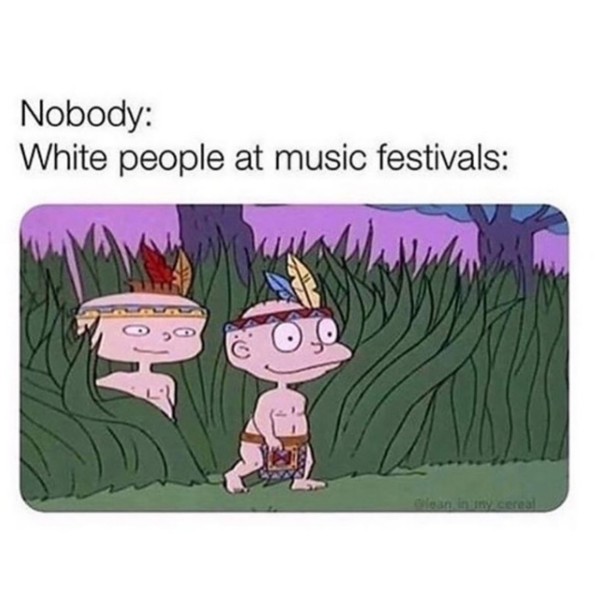 This meme is a humorous comparison between the stereotypical perception of Native Americans at music festivals and the actual reality. The image is a still from the animated TV show "Rugrats" featuring two Native American characters from the episode "The Great Baby Show" in a stereotypical and inaccurate depiction of Native Americans. The text above the image reads "Native Americans at music festivals" and below it says "Nobody: White people at music festivals".