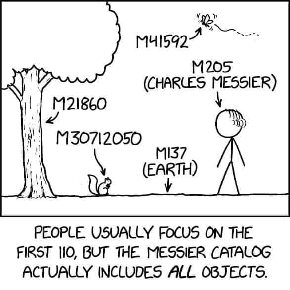 This meme is a humorous illustration of the concept of the "Meme" from the popular webcomic xkcd. The image shows a tree with a squirrel and a person standing next to it. The text at the top of the image reads: "People usually focus on the first 110, but the Meme Catalog actually includes all objects."