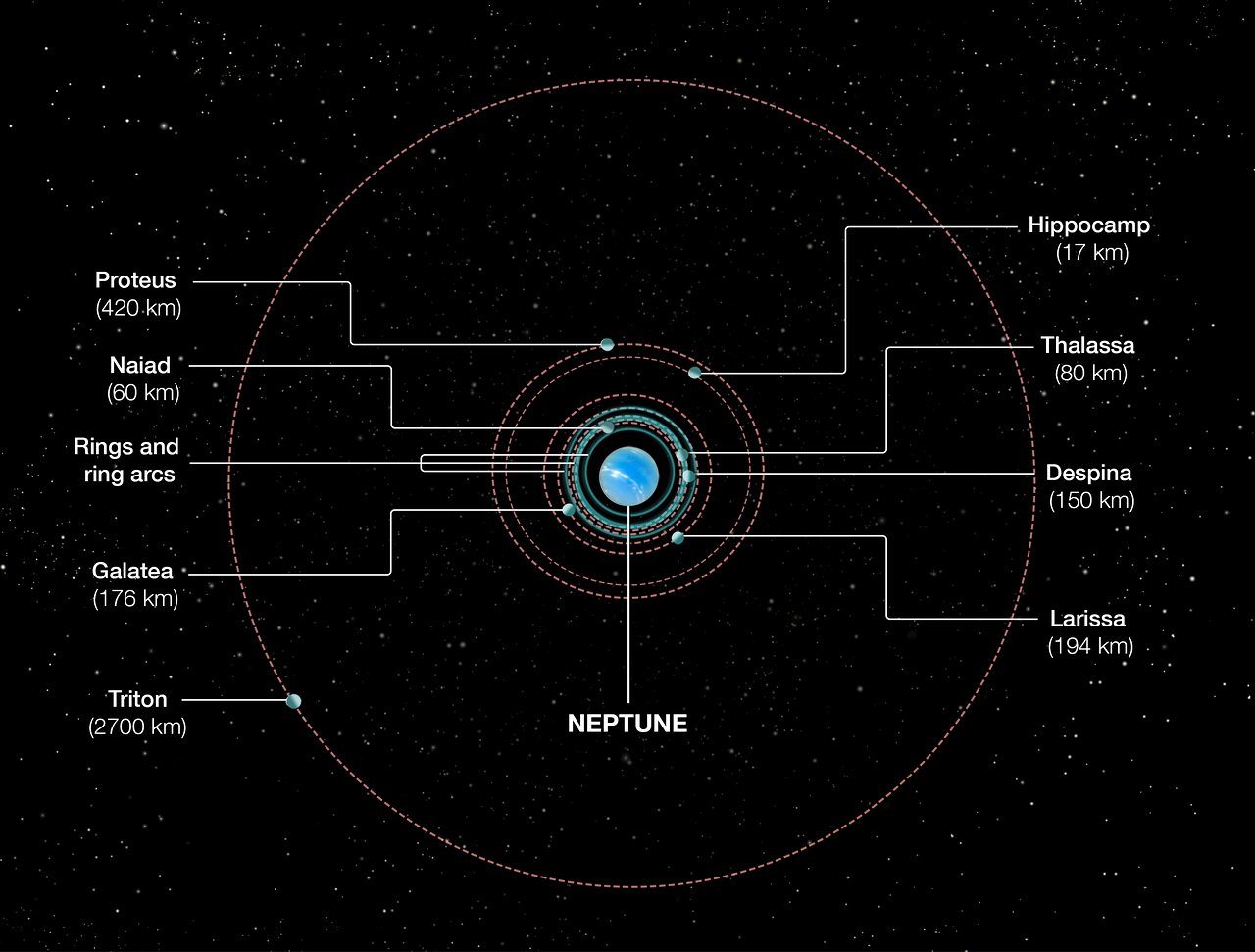 This meme is a visual representation of the orbits of various celestial objects in our solar system, with Neptune at the center. The meme shows the orbits of 8 planets and 5 moons, with each object's orbit labeled and...