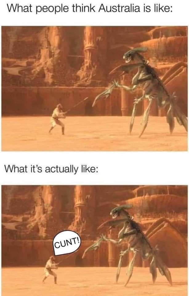 This meme is a humorous comparison between the public's perception of Australia and the reality of the country. The image shows a person fighting a giant, monstrous creature, with the caption "What people think Australia is like" and "What it's actually like". The text "CUNT!" is shouted by the person in the second panel, implying that Australia is not as exotic or exciting as people imagine, but rather a place where you can swear loudly in public.