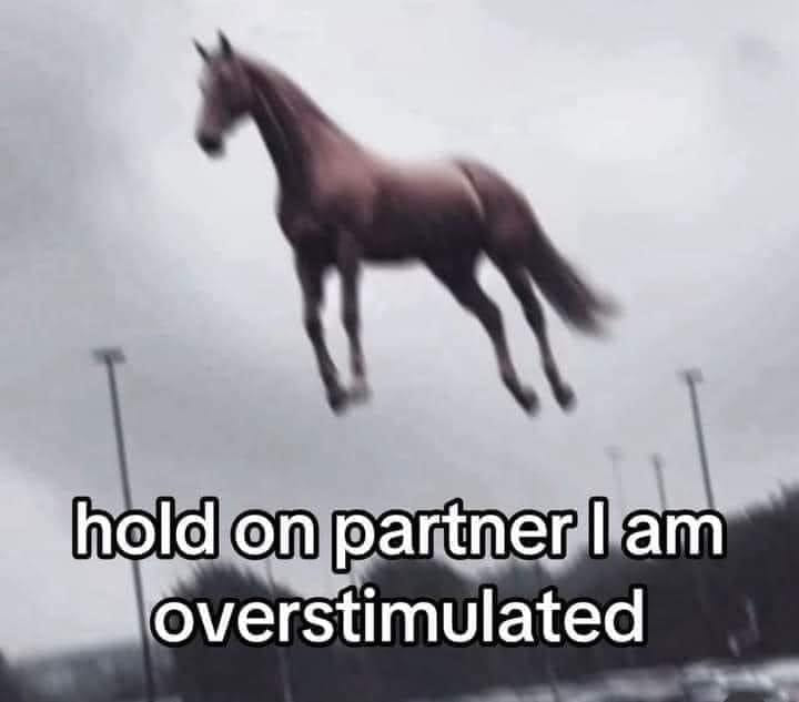 This meme is an image of a horse in mid-air, with its legs stretched out in a comical "mid-air" pose. The text overlayed on the image reads: "hold on partner I am overstimulated". The meme is likely referencing a situation where someone is overwhelmed or "overstimulated" and needs a moment to calm down, with the horse's mid-air pose serving as a humorous visual representation of that feeling.