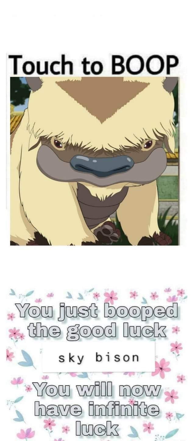The meme is a humorous image of a character from the TV show "Avatar: The Last Airbender" with a caption "Touch to BOOP" and a "You just booped the good luck" message, followed by "You will now have infinite luck".