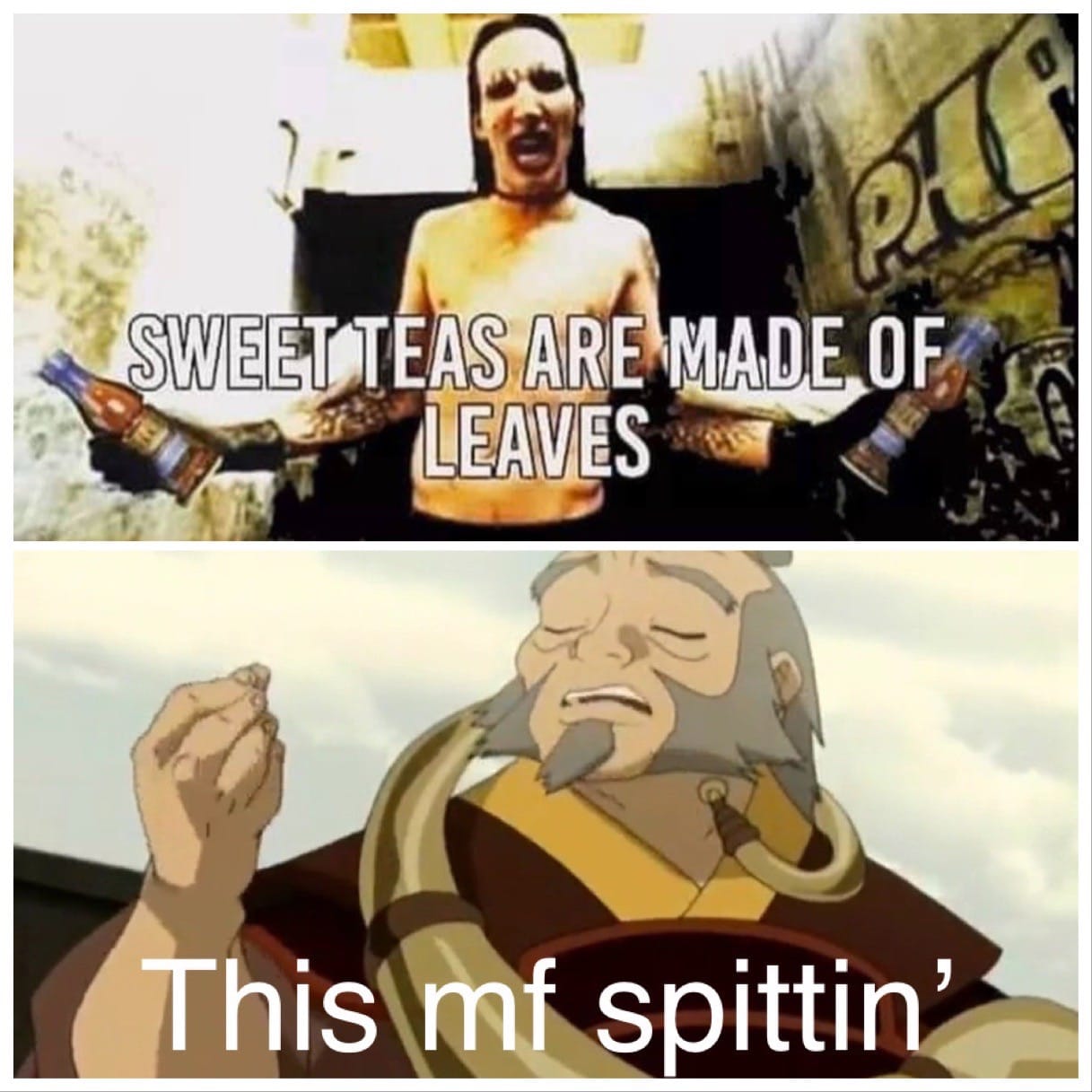 This meme is a humorous comparison between two vastly different images. The top image is of Marilyn Manson, a shock rock musician, with the text "SWEET TEAS ARE MADE OF LEAVES" superimposed over it. The bottom image i...