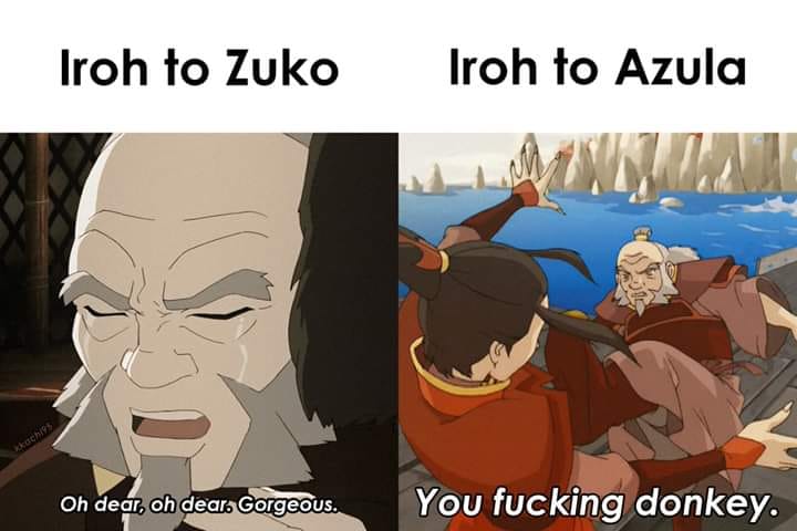 This meme is a humorous comparison between two characters from the animated series "Avatar: The Last Airbender". It shows a split-screen image of Iroh (a wise and calm character) and Azula (a villainous and aggressive character), with the caption "Iroh to Zuko" and "Iroh to Azula". The text on the left says "Oh dear, oh dear, gorgeous" and the text on the right says "You f***ing donkey".