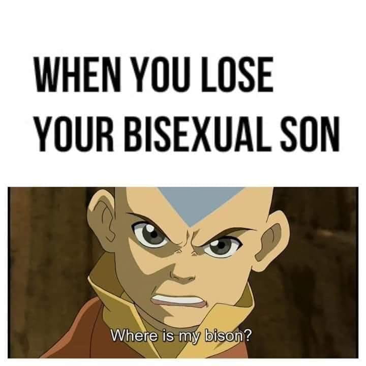 This meme is a humorous reaction to a person's emotional distress after losing their child. The image is a screenshot from the animated TV series "Avatar: The Last Airbender," featuring a character named Aang, who is a young boy who is also the main protagonist. The text overlay on the image reads, "When you lose your child, but you still have your bison."