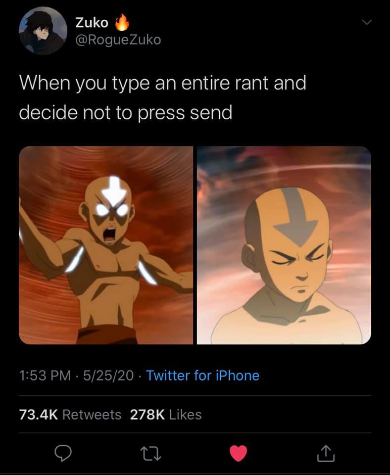 This meme is a humorous take on a common online experience. The image shows a character from the TV show "Avatar: The Last Airbender" with a shocked expression, and the text above it reads "When you type an entire rant and decide not to press send". The meme is poking fun at the frustration of writing a long, angry message and then changing your mind and deleting it.