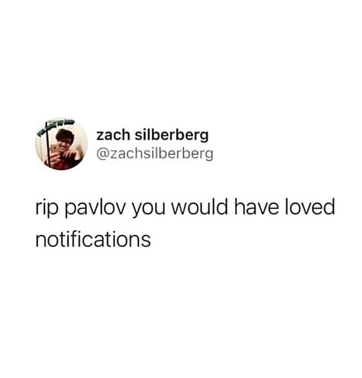 This meme is a humorous response to a tweet about the passing of a celebrity or public figure, but the name is intentionally misspelled as "pavlov" instead of "pavlovi" (a reference to the Russian scientist Ivan Pavlov). The text "rip pavlov you would have loved notifications" is a tongue-in-cheek comment on how Pavlov's work on classical conditioning is now used to describe the way people react to notifications on their phones.