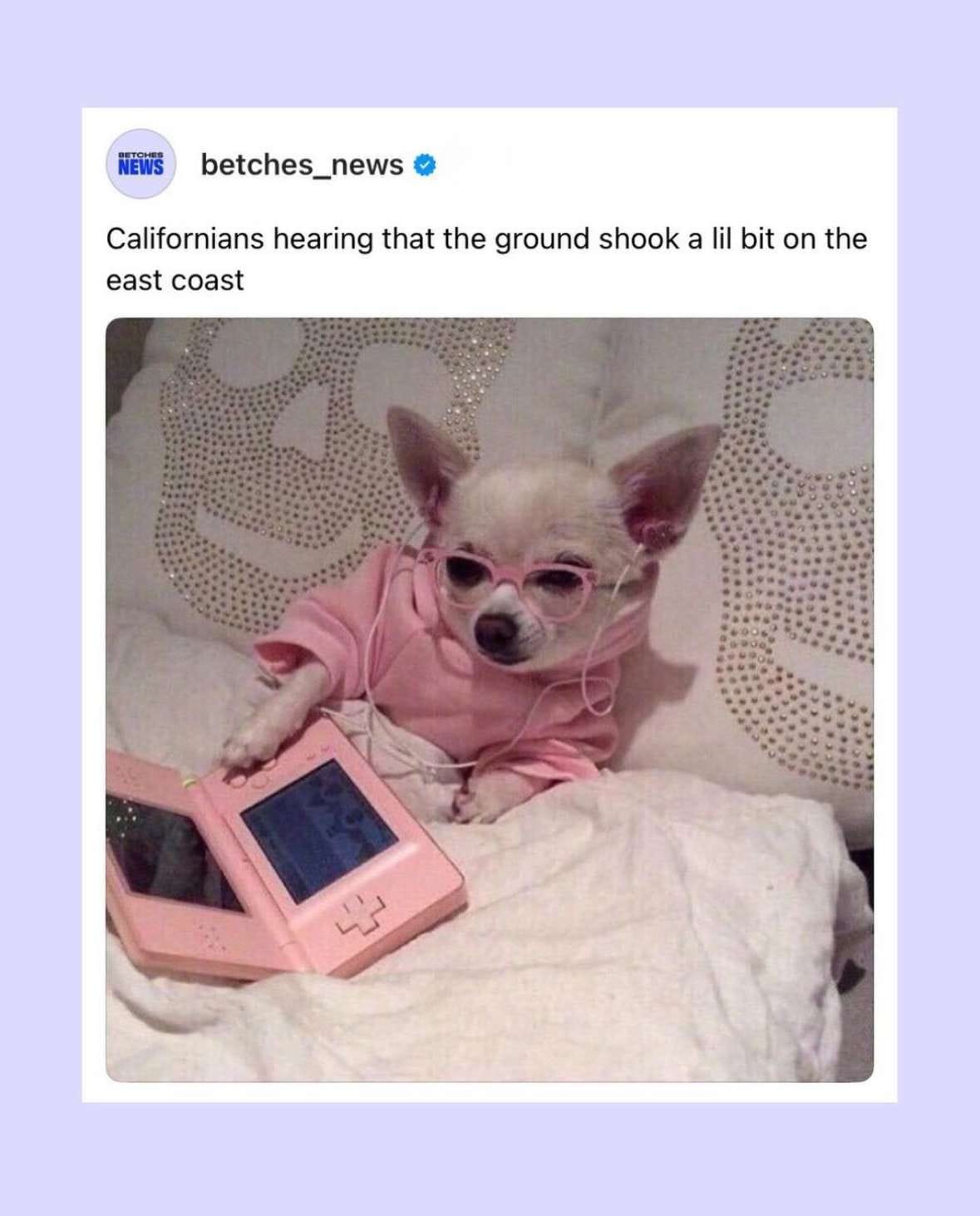 This meme is a humorous image of a dog wearing a pink hoodie and sunglasses, sitting on a bed with a Nintendo Game Boy and a pink Game Boy Advance. The text "Californians hearing that the ground shook a little bit on the East Coast" appears above the image. The meme is likely referencing a recent earthquake on the East Coast and poking fun at the idea that Californians are always concerned about earthquakes, even if they are not directly affected by them.