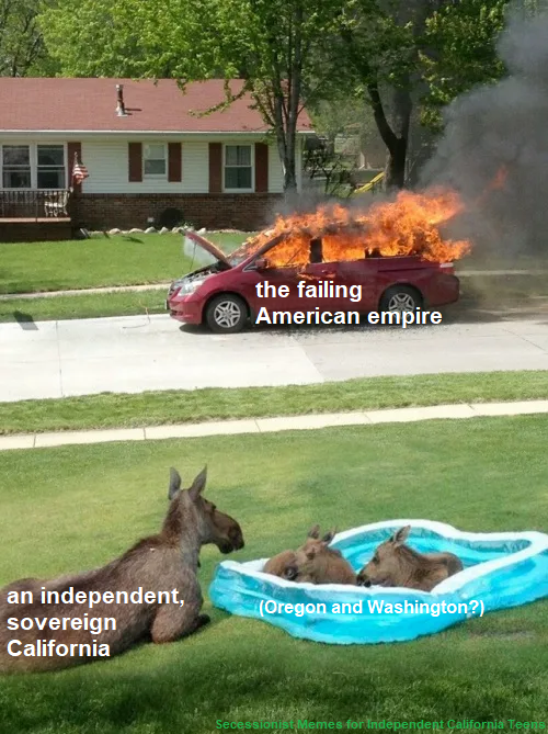 This meme is a humorous commentary on the state of the United States. It features a picture of a burning car with a caption "the burning of the American empire" and a second panel showing a family of moose in a backyard pool, with the caption "in the end, it was the moose".