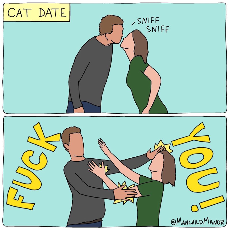 This meme is a humorous comparison between a typical first date between humans and a hypothetical first date between humans and a cat. The top panel shows a human couple on a date, with the caption "First date". The bottom panel shows a human couple on a date with a cat, with the caption "Cat date".