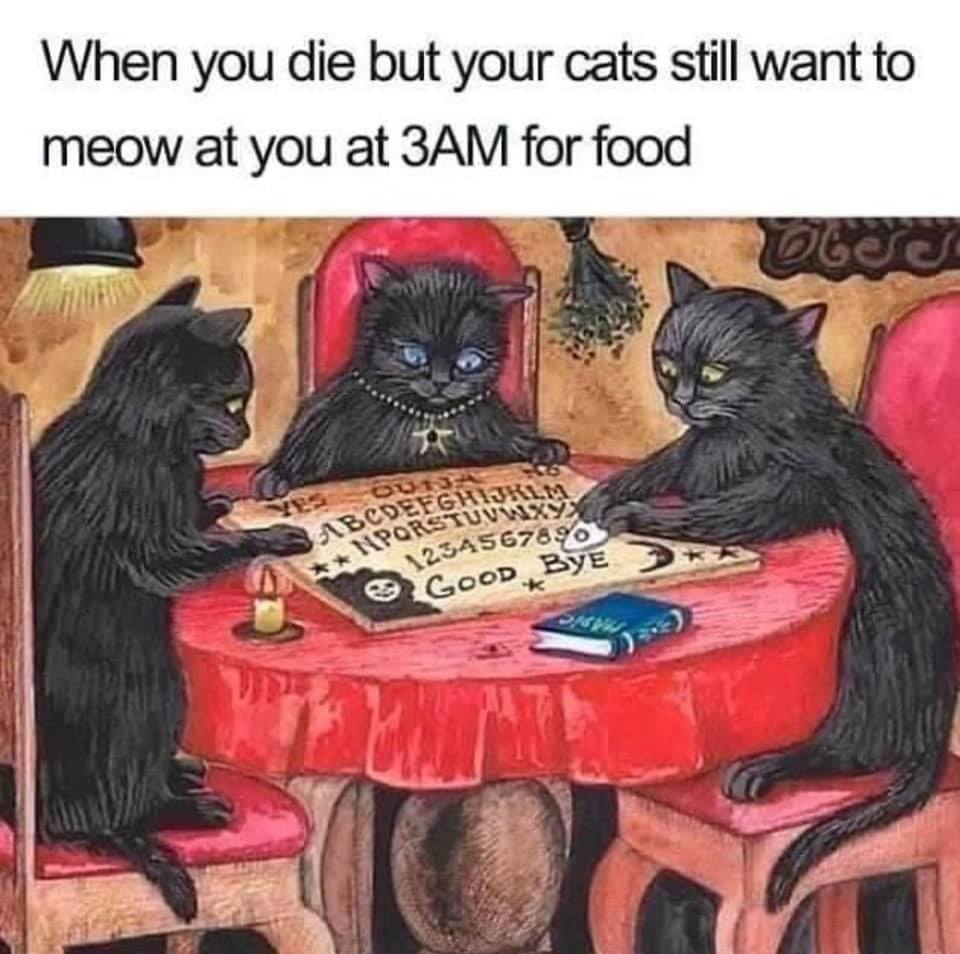 This meme is a humorous illustration of three cats sitting around a table, playing a game of Ouija board. The text at the top of the image reads "When you die but your cats still want to hang out" and the text at the bottom says "When you die but your cats still want to meow at you at 3am for food". The image is meant to poke fun at the common experience of cats demanding attention and food at all hours of the night.