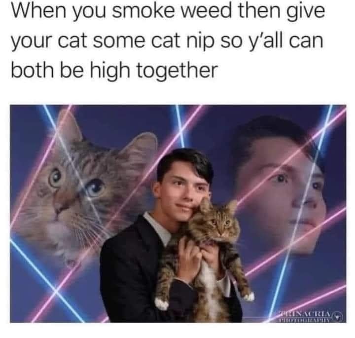 This meme is a humorous image featuring a photo of a person holding a cat, with a caption that reads: "When you smoke weed and your cat gets high too." The image is likely to be a playful and relatable depiction of a common experience, with the caption implying that the person and their cat are both enjoying the effects of marijuana.