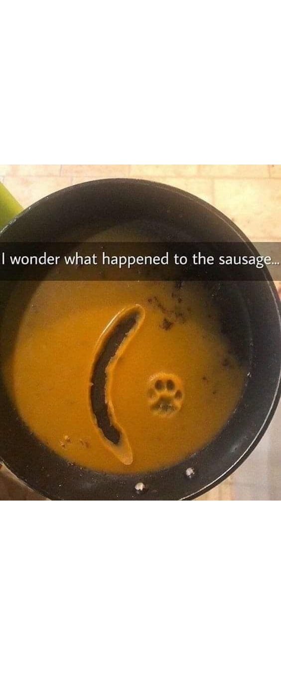 This meme is a picture of a bowl of soup with a sad face made out of the soup's surface. The text "I wonder what happened to the sausage..." is written in a playful, curious tone, implying that something unexpected and potentially humorous happened to the sausage in the soup. The image is likely meant to be humorous and lighthearted, poking fun at the idea that something unexpected happened to the sausage.