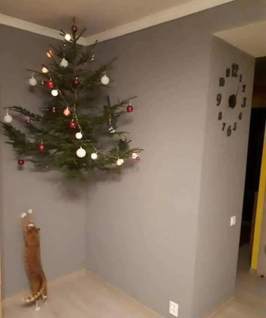 This meme features a cat looking up at a Christmas tree with a caption that reads "When you finally get to the top of the tree". The image is likely a play on the idea of a cat's curiosity and agility, with the cat seemingly having successfully climbed the tree and is now looking at the top. The caption is humorous and relatable, poking fun at the idea that cats are often able to get into mischief, especially around Christmas trees.