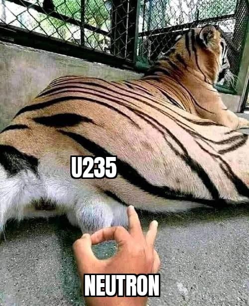 The meme is a photo of a tiger with its back to the viewer, and a person's hand is reaching out to pet it. The text "I can smell the desperation" is written above the tiger, and "I'm not saying no" is written below it. The image is a play on the common phrase "I can smell the desperation" being used in a situation where someone is being asked to do something they don't want to do, and the person is trying to politely say no.