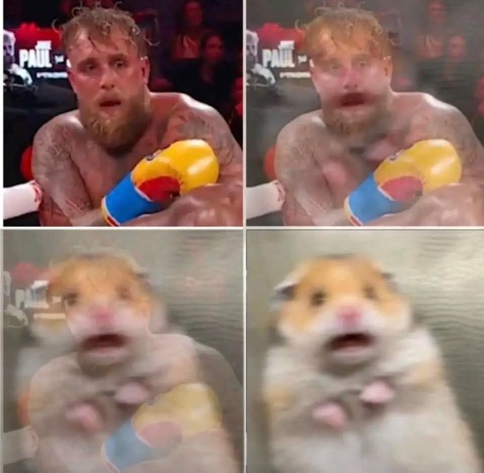 601974131_1257183076439699_1376898185293871461_n