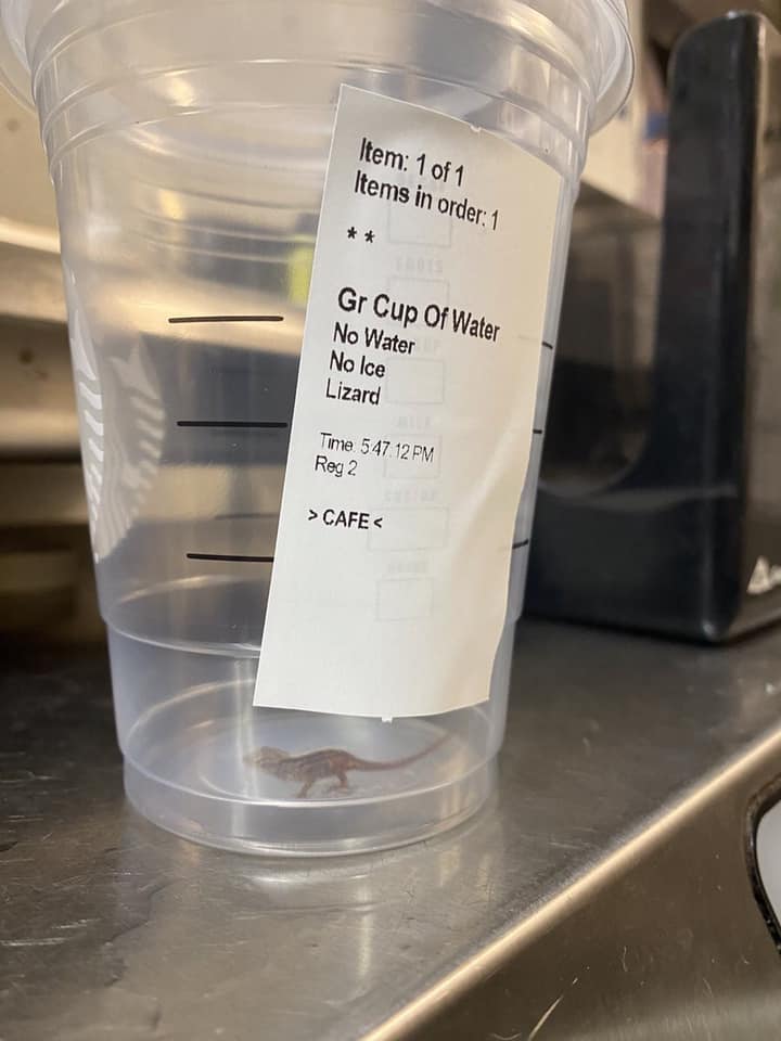 This meme features a photo of a Starbucks cup with a receipt taped to the side. The receipt shows an order for a "Grande Cup of Water" with a note that says "No Water, No Ice, Lizard." The image is likely meant to be humorous, implying that the customer requested a cup of water with no water or ice, and a lizard was somehow included.