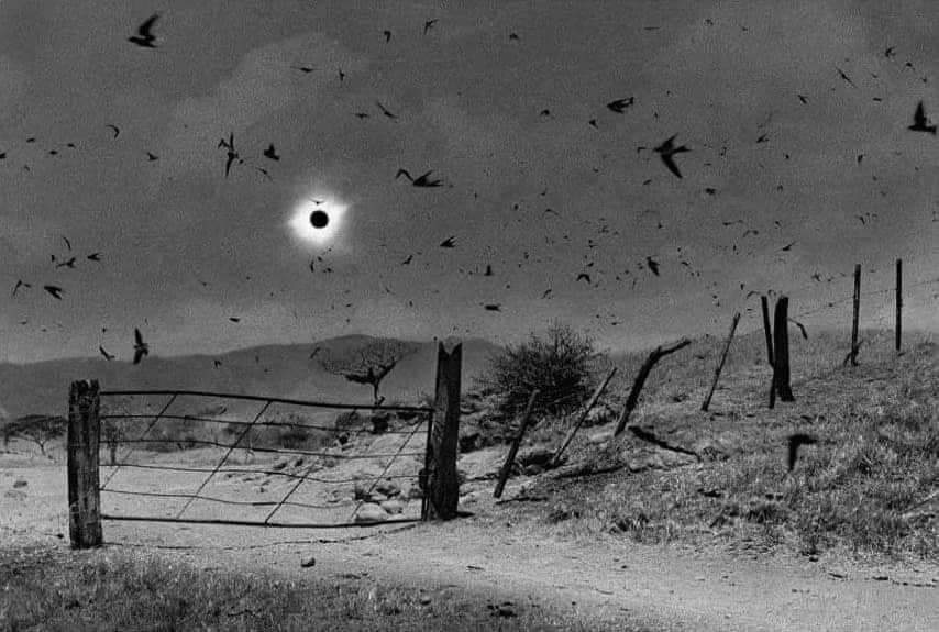 This meme is an image of a solar eclipse, with a dark circle in the center representing the sun. The image is captioned "when you're trying to take a selfie but the sun is in the way".