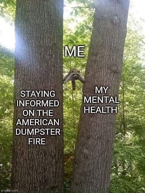 This meme is a photo of a tree with three trunks, each representing a different person or situation. The text on the left trunk says "me", the middle trunk says "staying informed on the American dumpster fire", and the right trunk says "my mental health". The image is meant to be humorous and relatable, poking fun at the idea that staying informed about current events can be overwhelming and detrimental to one's mental health.