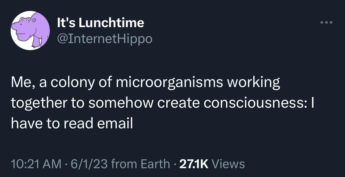 This meme is a humorous take on the idea of a colony of microorganisms working together to create something. The text "I have to read email" is a sarcastic comment that implies the colony is so busy with its work that it's too busy to even read an email. The meme pokes fun at the idea that even a collective of microorganisms can be too busy to keep up with their work.