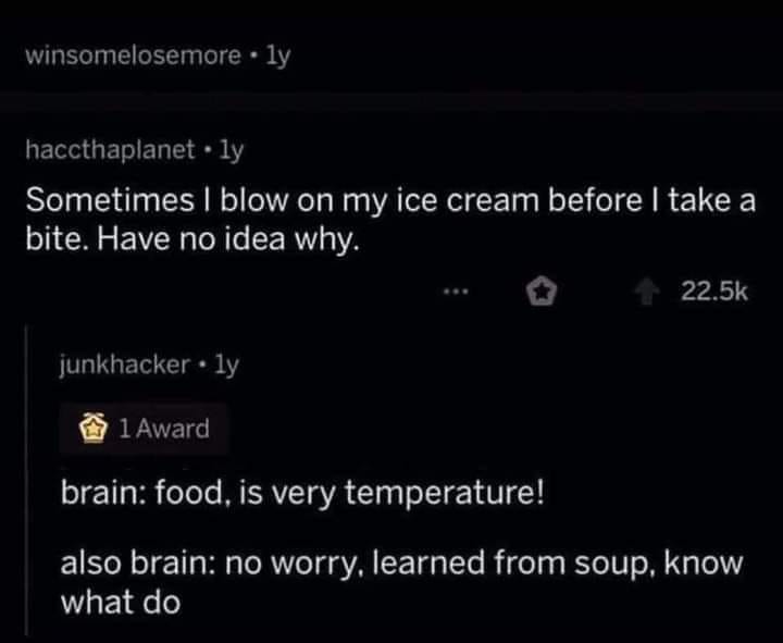 This meme is a screenshot of a Reddit comment thread. The top comment reads "Sometimes I blow on my ice cream before eating it, has anyone else done this?" and the bottom comment responds with "Sometimes I blow on my ice cream before eating it, has anyone else done this? I do this every time, I think it's because I'm trying to cool it down quickly, but I've never thought about it until now."