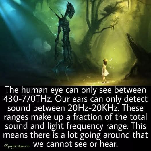 This meme is a humorous commentary on the concept of "sonic sight" - the idea that some people can perceive sounds in ways that others cannot. The image depicts a person walking through a forest at night, with a glowing figure in the distance. The text reads: "The human eye can only see between 430-770THz. Our ears can only detect sound between 20Hz-20KHz. These ranges make up a fraction of the total sound and light frequency range. This means there is a lot going on around that we can't see or hear."
