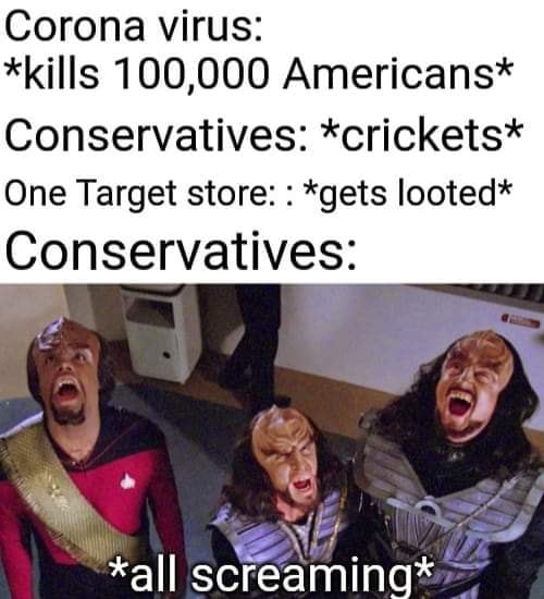 This meme is a humorous commentary on the COVID-19 pandemic and the 2020 US presidential election. The image shows a split-screen comparison between the COVID-19 pandemic and the 2020 US presidential election, with the top section saying "COVID-19: *kills 100,000 Americans*" and the bottom section saying "2020 Election: *one store gets looted*". The text in the meme is meant to be humorous and satirical, highlighting the vastly different responses to the two events.