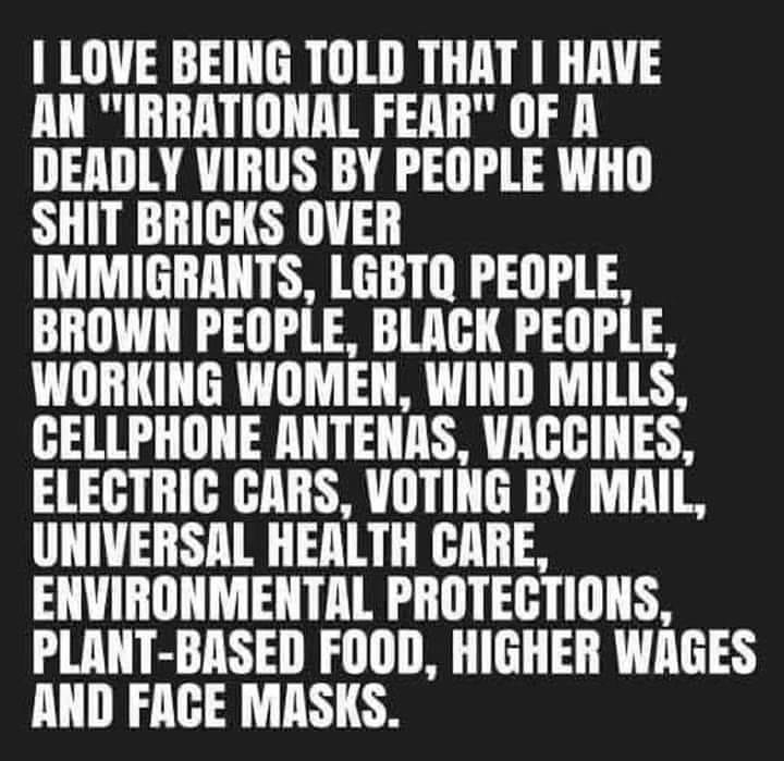 This meme is a humorous list of words and phrases that are often associated with fear or anxiety, such as "immigrants", "LGBTQ", "brown people", "black people", and "vaccines". The text is presented in a bold, white font on a dark background, with each phrase separated by a line break. The overall tone is sarcastic and ironic, implying that the speaker has an "irrational" or "irrational" fear of these things.