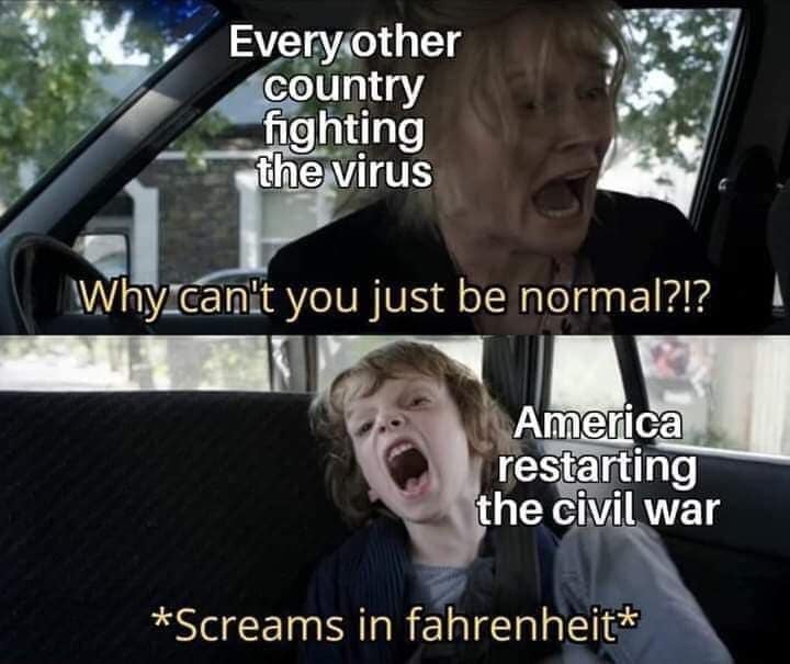 This meme is a humorous commentary on the current state of the world. It shows a mother and child in a car, with the mother asking "Why can't you just be normal for once?" and the child responding "Because America is currently re-enacting the Civil War and the world is ending!" The text at the top reads "Every other country is fighting the virus, why can't you be normal for once?" and the text at the bottom reads "*Screams in Fahrenheit*".