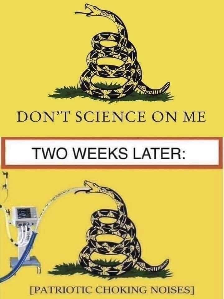 This meme is a play on the classic "Don't Tread on Me" flag, with a humorous twist. The original phrase is replaced with "Don't Science on Me", and the image shows a person being attacked by a snake (representing the scientific community) while they are on a ventilator (representing a medical crisis). The text at the top reads "Two weeks later" and the bottom text reads "[Patriotic Choking Noises]".