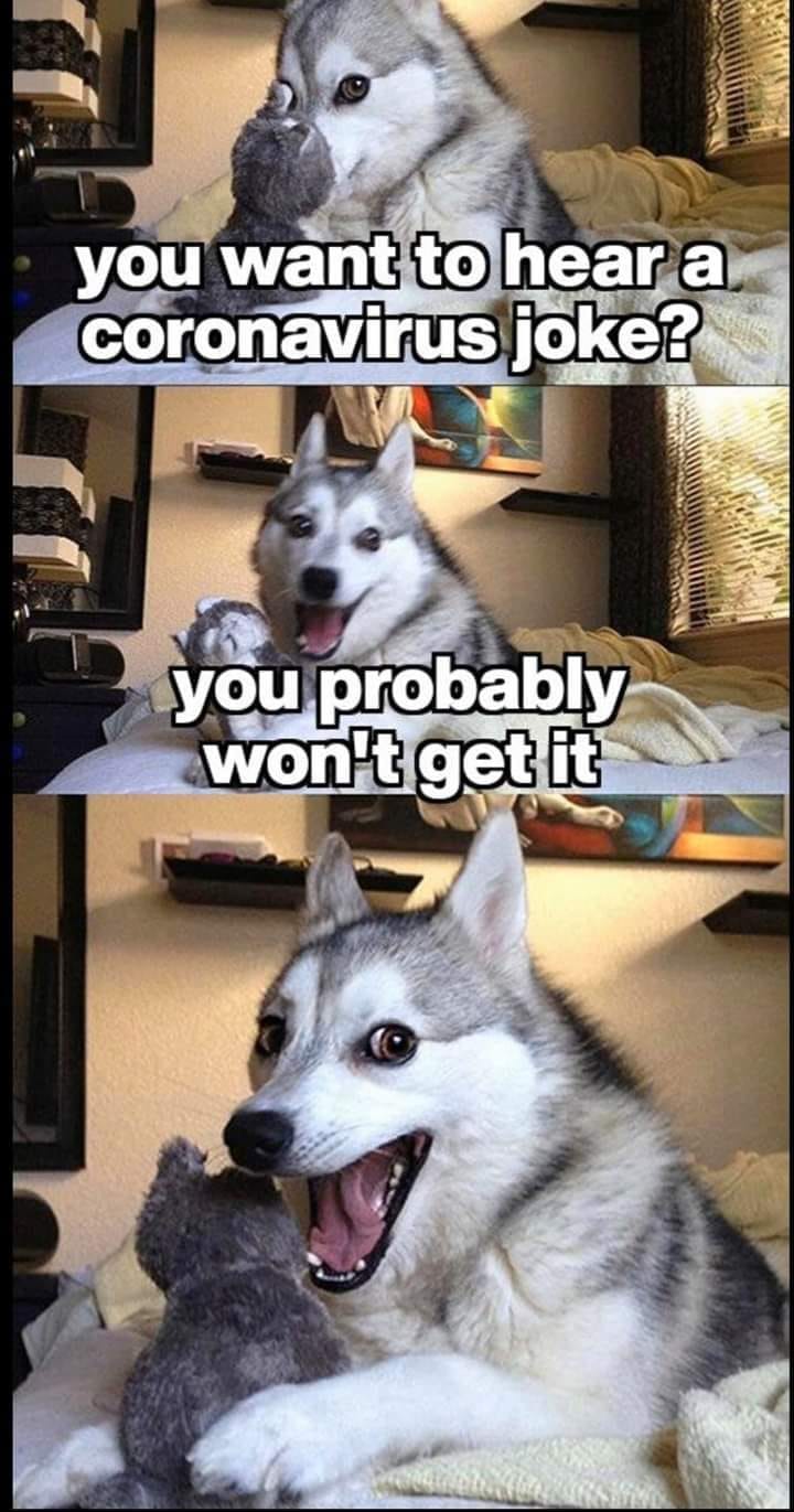 This meme features a dog with a surprised expression, followed by a second image of the same dog with a shocked and angry face. The text "you want to hear a coronavirus joke? you probably won't get it" is overlaid on the images, implying that the dog is trying to warn someone that a coronavirus joke is unlikely to be funny. The meme pokes fun at the idea that coronavirus jokes are often not well-received or funny.