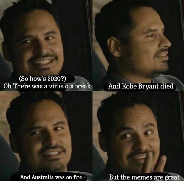 This meme is a humorous response to the idea that 2020 was a bad year, with the speaker acknowledging the year's many challenges, including the COVID-19 pandemic, the death of Kobe Bryant, and the devastating Australian wildfires. The text "In 2020..." is followed by a series of humorous and lighthearted statements about the year's many challenges, poking fun at the idea that the year was somehow "good" because of a few positive events.