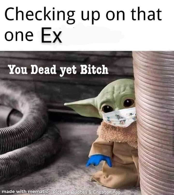 This meme is a humorous image of a character from the Star Wars franchise, Baby Yoda, wearing a mask and standing in front of a vacuum cleaner. The text above the image reads "Checking up on that one Ex" and below it says "You dead yet?". The meme is a play on the idea of checking in on an ex-partner, but with a humorous and dark twist.