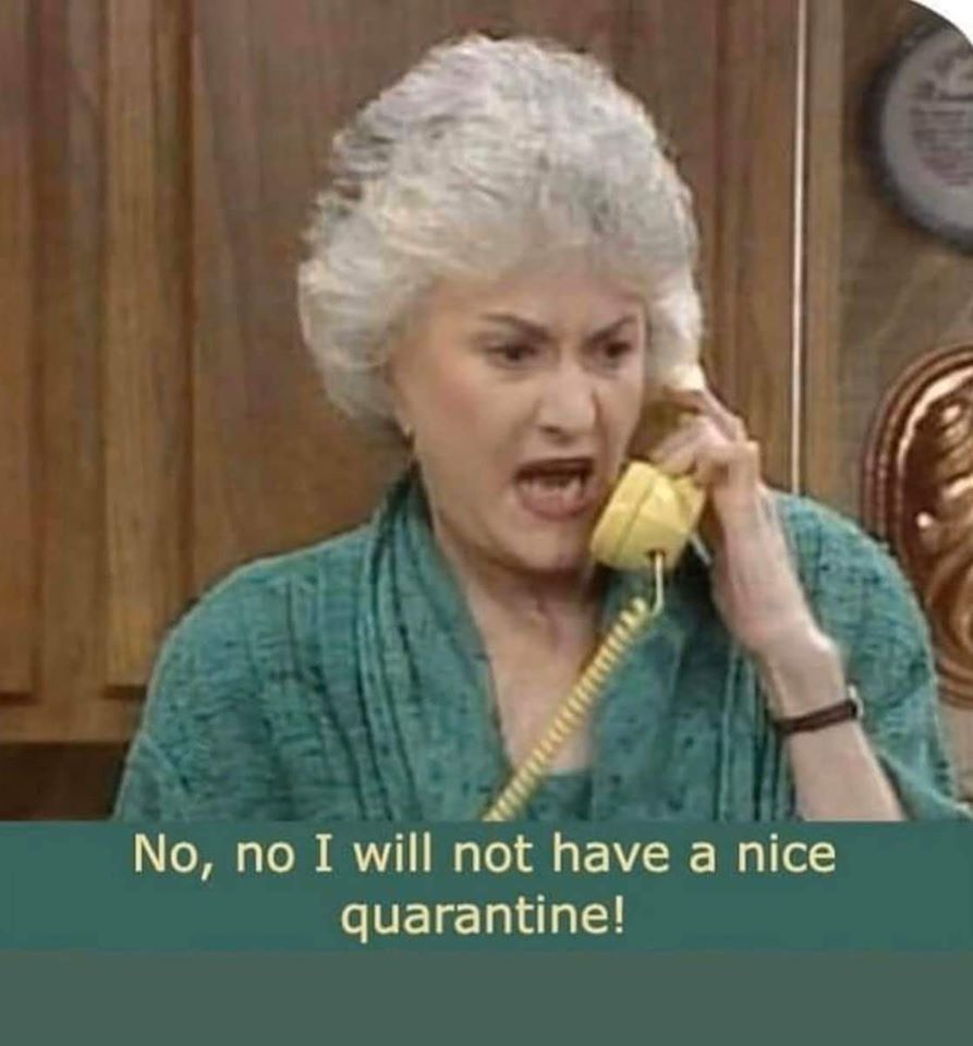 This meme is a humorous take on the 1985 TV show "The Golden Girls." It features a character from the show, Dorothy, responding to someone who is trying to get her to participate in a fun activity during the COVID-19 pandemic. The text "No, I will not have a nice quarantine!" appears in the image, poking fun at the idea of a "nice" quarantine.