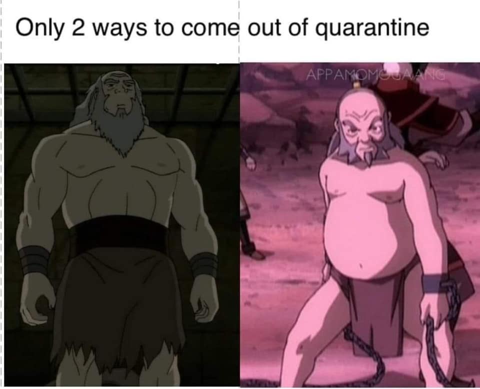 This meme is a humorous take on the COVID-19 pandemic, specifically the "two weeks to flatten the curve" directive. The image features two characters from the animated series "Avatar: The Last Airbender", Iroq and Iroq's brother, with the caption "Only 2 ways to come out of quarantine". The meme is likely referencing the challenges of living in isolation during the pandemic, and the humorous way the characters are portrayed as being stuck in the same position.