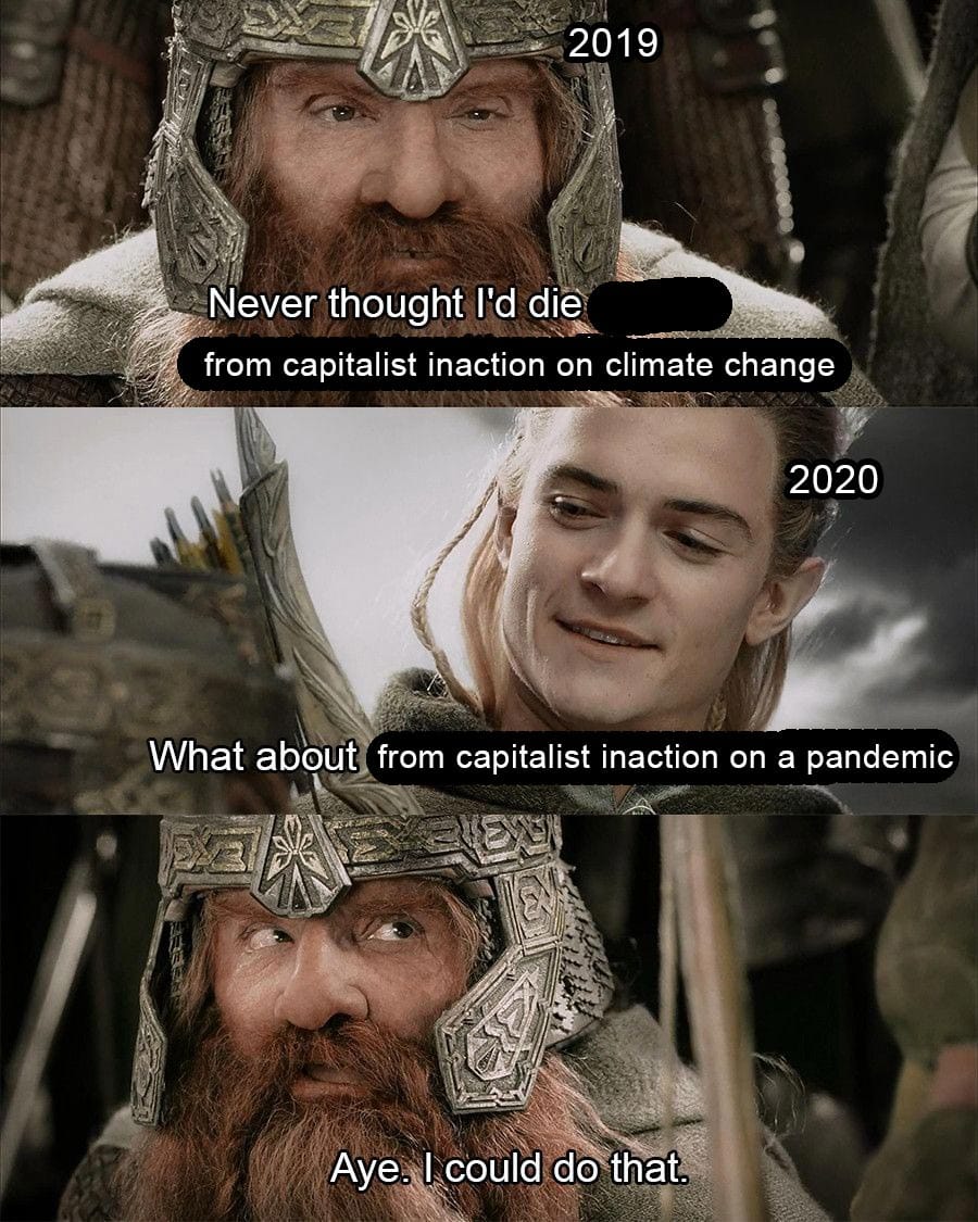 This meme is a humorous commentary on the challenges of adapting to the COVID-19 pandemic. The image features a character from the Lord of the Rings, Aragorn, responding to a friend's existential crisis about the pandemic. The text reads: "Never thought I'd die from capitalist inaction on climate change" and "What about from capitalist inaction on a pandemic?"