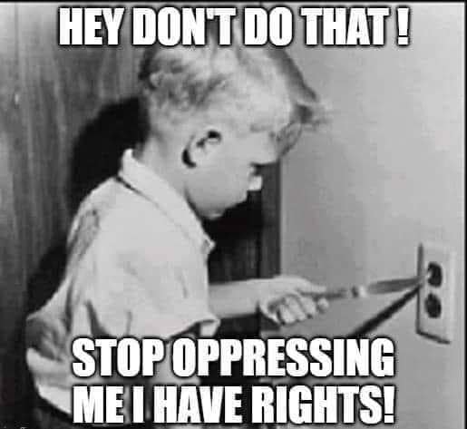 This meme is a black-and-white image of a young boy, likely from the 1950s or 60s, standing in front of a TV or radio, with a shocked expression on his face. The text "I have rights!" is written above his head, and the text "I have a right to know" is written below. The image is captioned with the phrase "I have rights! I have a right to know!" which is a quote from the 1954 Supreme Court case Brown v. Board of Education.