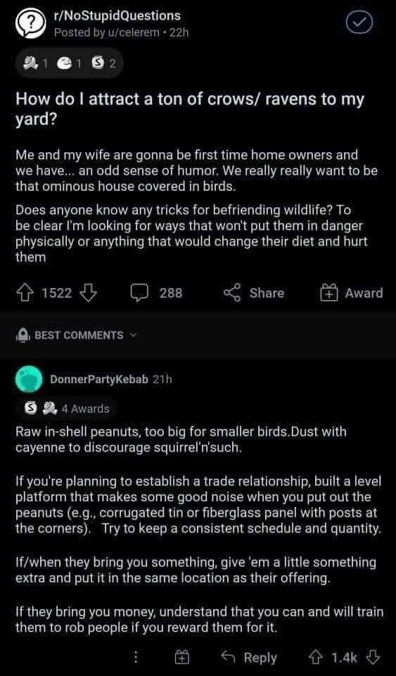 The meme is a screenshot of a Reddit comment thread, where a user asks "How do I attract a ton of crows/ravens to my yard?" The top comment, from a user named "DonnerPartyKebab", responds with a humorous and sarcastic answer, saying "Just put out a bunch of trash, I mean, I'm not saying that's the answer, but...".