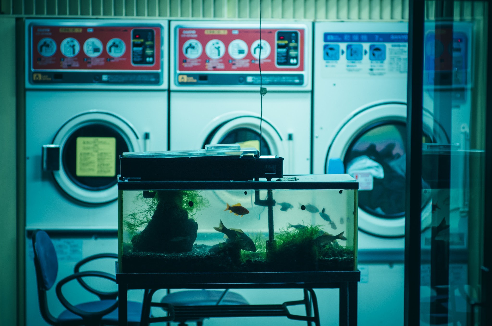 The meme is an image of a laundry room with a washing machine and a sign that says "Please do not leave your fish in the washing machine". The image is humorous because it's a common mistake to leave a fish in a washing machine, but in this case, it's a laundry room with a fish tank in the background, implying that someone has left their fish in the washing machine.