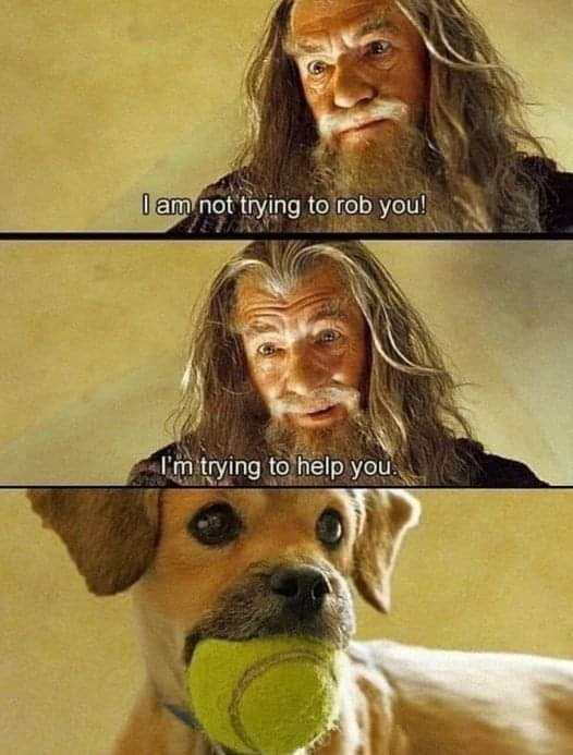 This meme is a play on the iconic "I am not a doctor, but I will tell you what I would do" scene from the movie "The Lord of the Rings." The meme replaces the doctor's statement with a more absurd and humorous one, saying "I am not trying to rob you, I am trying to help you." The image is likely a split-screen comparison between a person trying to steal something and a dog trying to playfully steal a ball.