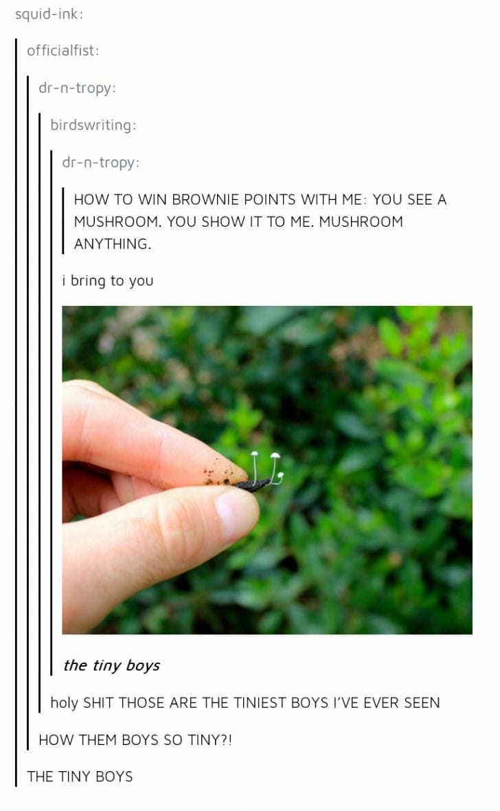 The meme features a small, 3D-printed figurine of a mushroom, with the caption "I bring to you... the mushroom." The image is accompanied by a humorous exchange between two individuals, "david" and "squirrel", discussing the figurine and its potential uses.