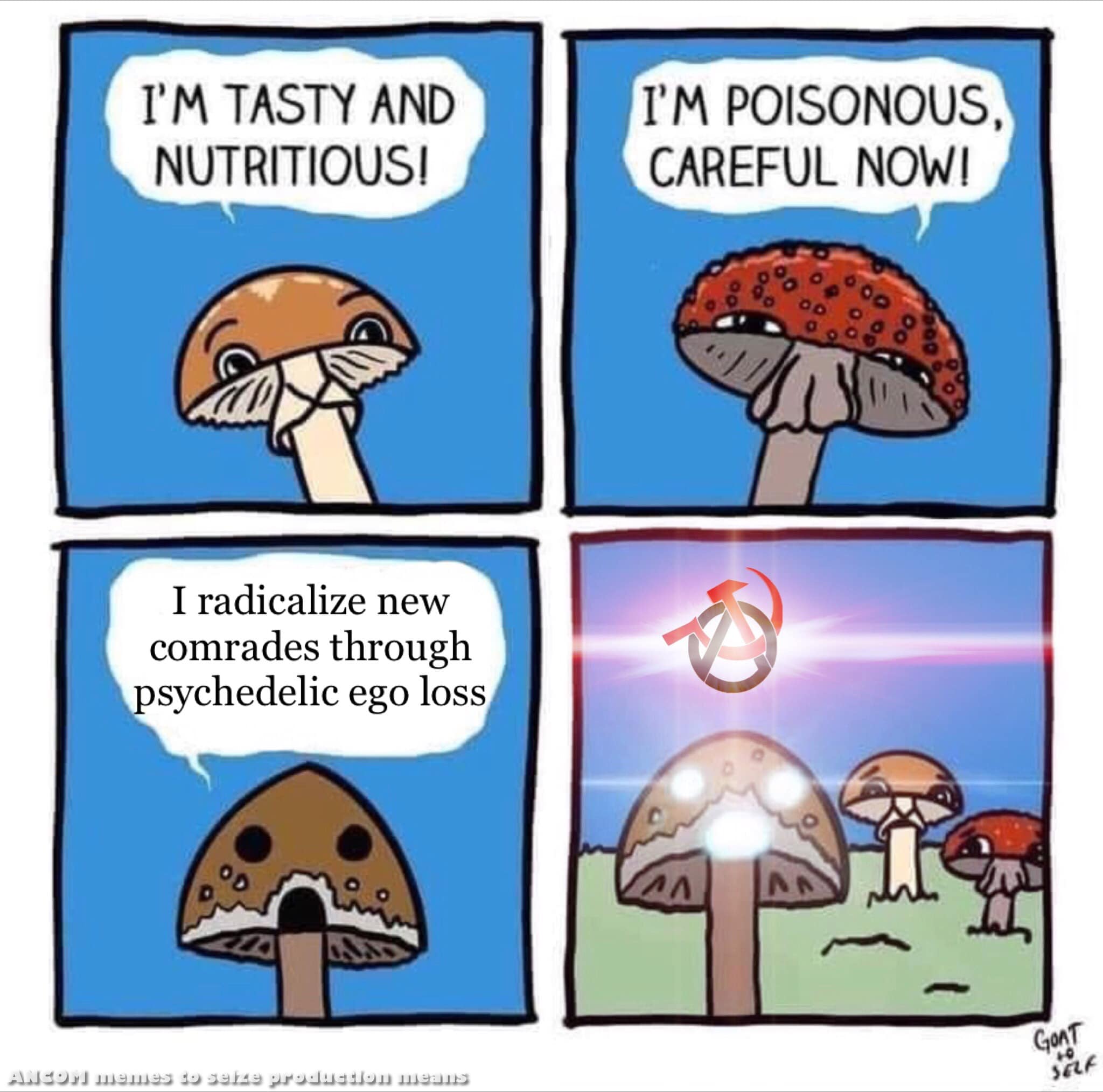 This meme is a humorous comparison between a mushroom and a person who has undergone a radical transformation, often in a humorous or ironic way. The text "I'm radicalizing new comrades through psychedelic ego loss" suggests that the mushroom has become a revolutionary leader, using its psychedelic powers to inspire and unite others. The image likely features a mushroom with a shocked or surprised expression, implying that it has undergone a dramatic transformation.