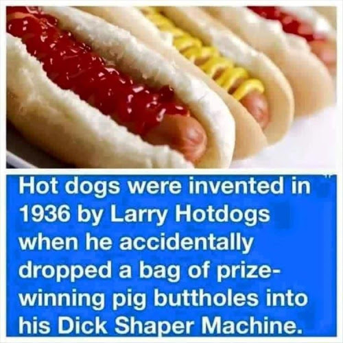 The meme is a humorous comparison between two seemingly unrelated things: hot dogs and a famous 1936 invention. The image is likely a photo of a hot dog, but the text overlays a joke about a 1936 invention that is actually a play on words. The text reads: "In 1936, hot dogs were invented by Larry Hottog".